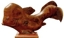 Short-Nose Batfish