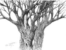 Drought Series 2