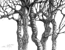 Drought Series 3